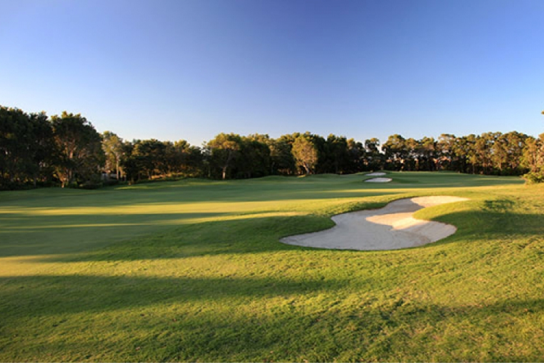 twin-waters-case-study